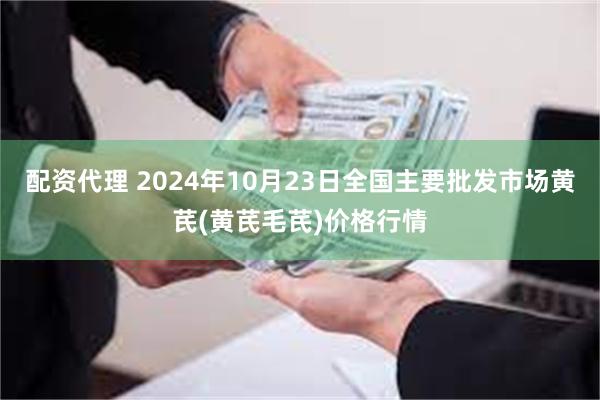 配资代理 2024年10月23日全国主要批发市场黄芪(黄芪毛