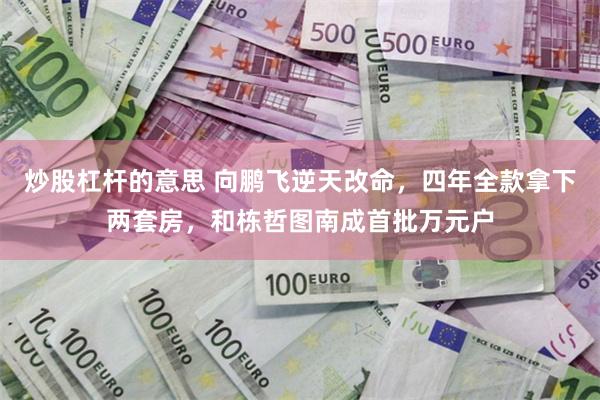 炒股杠杆的意思 向鹏飞逆天改命，四年全款拿下两套房，和栋哲图