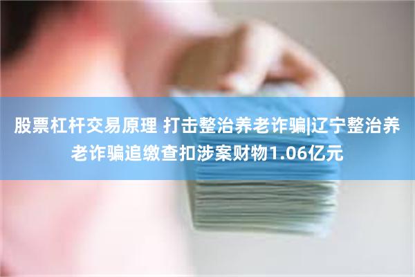 股票杠杆交易原理 打击整治养老诈骗|辽宁整治养老诈骗追缴查扣